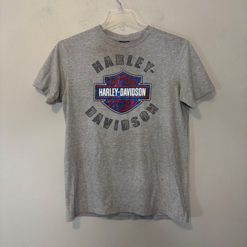 Harley-Davidson Rawhide Olathe Kansas Flaming Skeleton Graphic T-Shirt Gray M